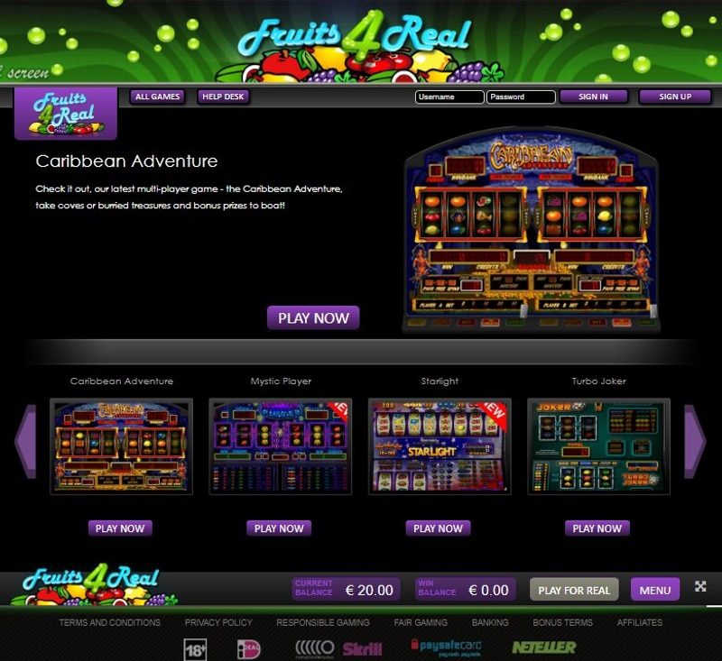 Fruits4Real Website in 2013